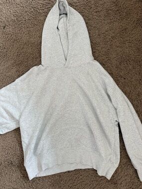 American Eagle Outfitters Heather Light Gray Hoodie